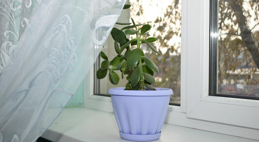 Гостиница Hostel on Kuznetskiy 92 Кемерово